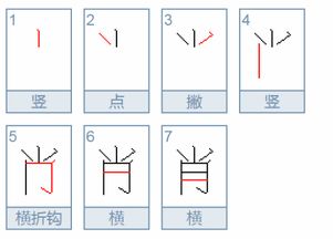 怎么组词拍