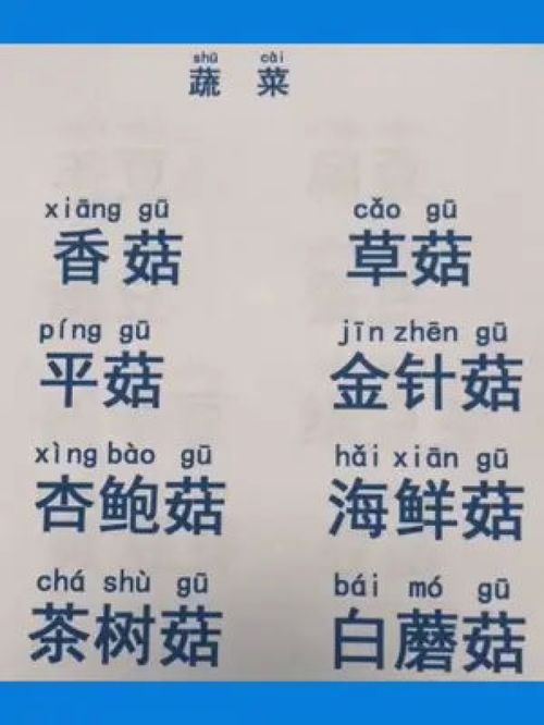 起怎么读组词
