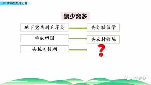 骨怎么组词语