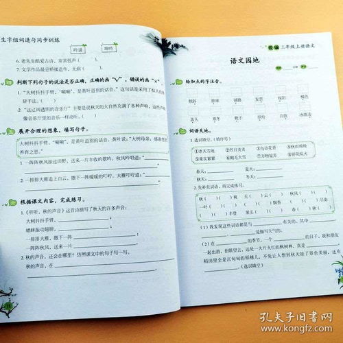 韭菜造句和组词怎么写