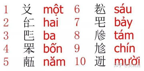 马字旁的轴怎么组词呀
