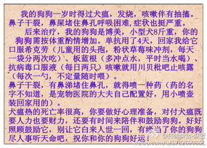 小度今怎么组词