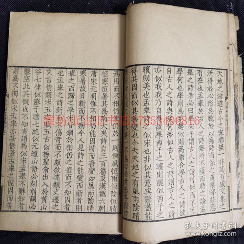 叶的后面组词怎么写
