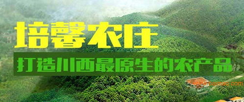 农庄的包怎么组词