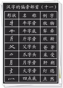 查字能怎么组词