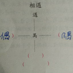遇见的词语怎么组词