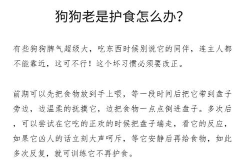 十五足怎么组词