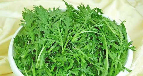 茼蒿的可以怎么组词