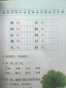 围巾的维维怎么组词
