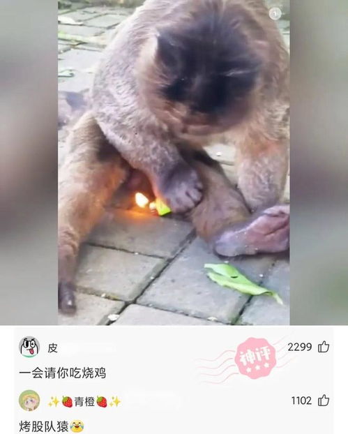 媳怎么组词