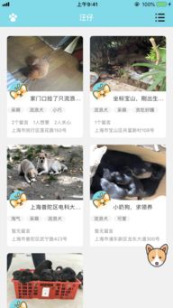 汪仔的仔怎么组词