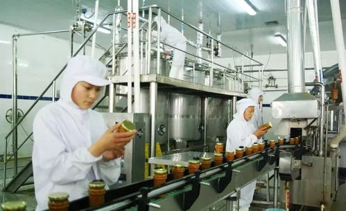 方字组词法怎么解释