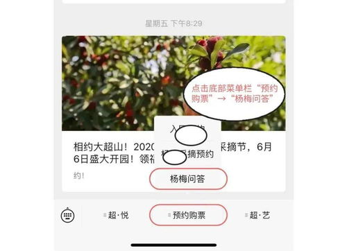 小篮的篮怎么组词
