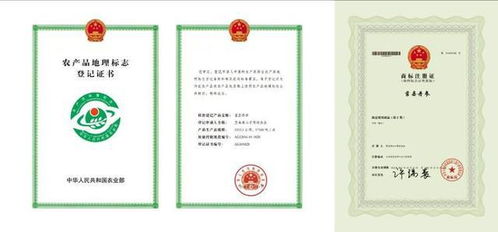 参(shen)怎么组词