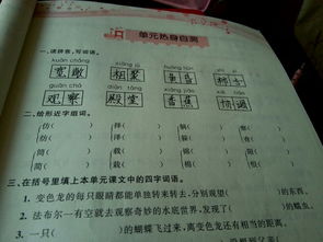 清水两字怎么组词