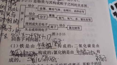 怎么区分又和再组词