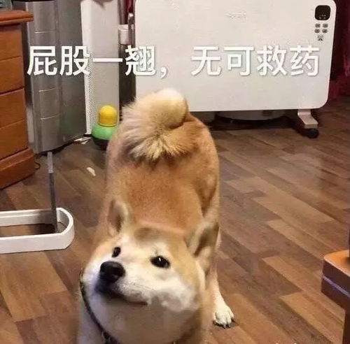一个怎么组词简单