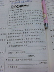 组词怎么写最