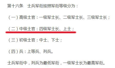嫌树枝的衔怎么组词