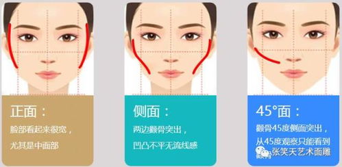 颧骨的颧还可以怎么组词