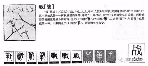 水的的怎么组词