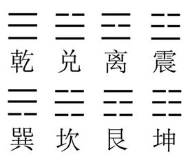 卦怎么读组词
