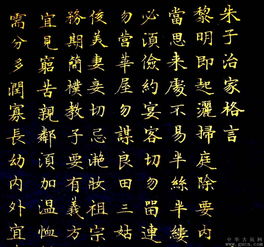 黎明的礼仪怎么组词