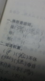 贵怎么换部首组词