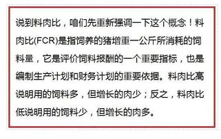 吨斤怎么组词