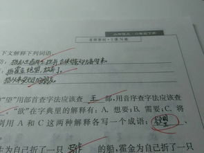预怎么组词语