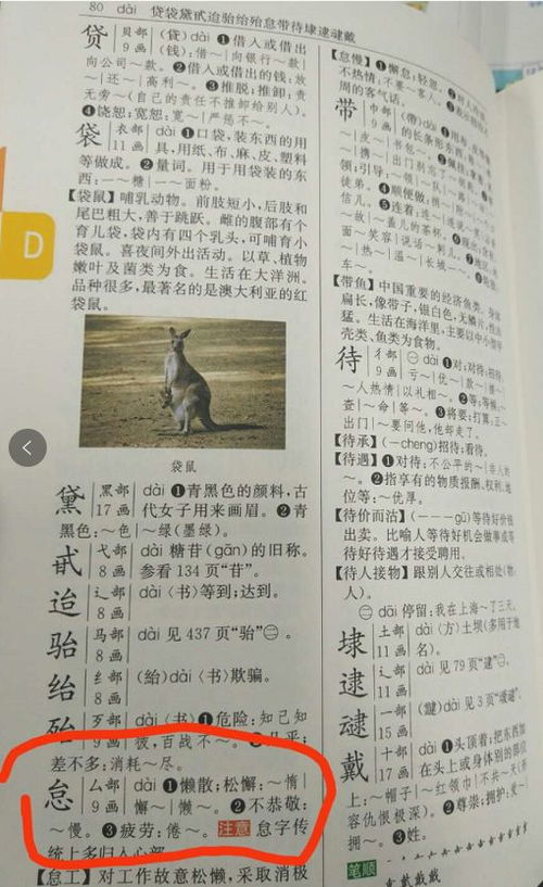 扁担的担怎么组词