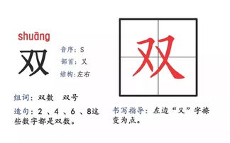 竹字旁的龙怎么组词啊 竹字旁的龙怎么组词啊