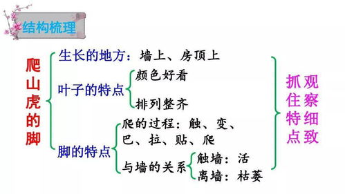 最便宜的脚怎么组词