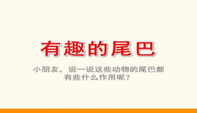 丝带的思思怎么组词