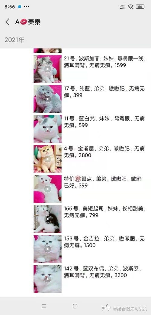 胀肚胀怎么组词