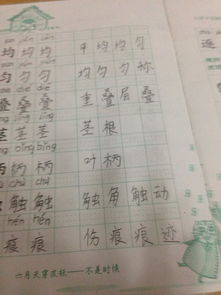 柄怎么组词