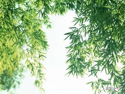 竹叶的足怎么组词