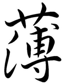 薄要怎么组词