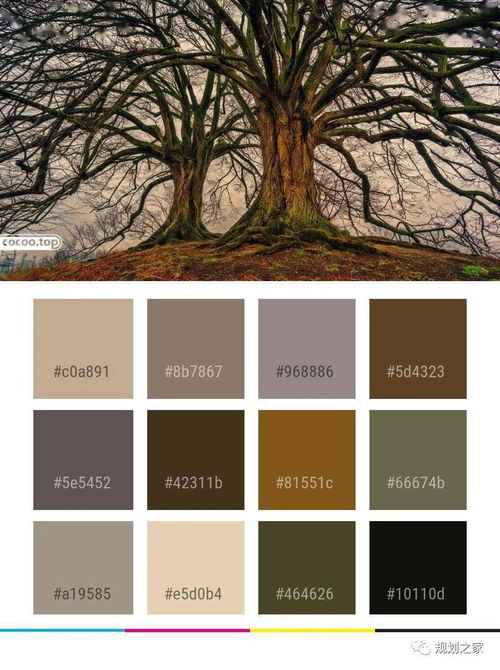 黄怎么组词(颜色)