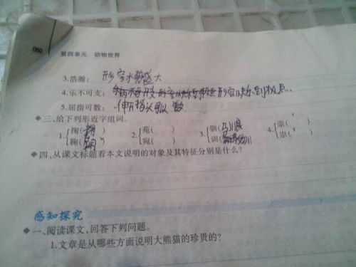 组词该怎么做