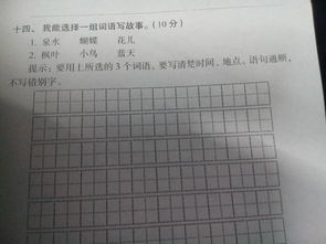 选择的的组词怎么写