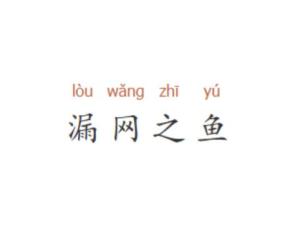 漏网之鱼可以怎么组词