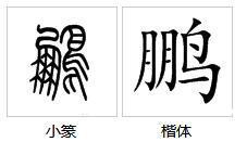 鹏和伊怎么组词