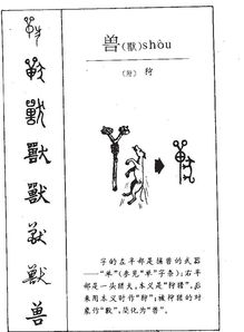 兽怎么注音和组词