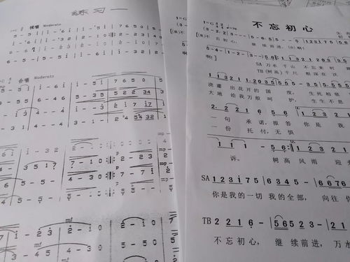 徐走了曲怎么组词