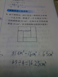 崎和岖怎么组词