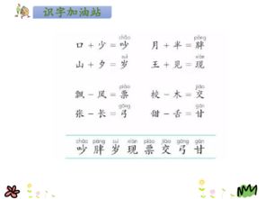 纸已组词怎么组词
