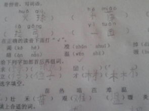 贲加偏旁组词