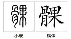 绥字组词怎么读