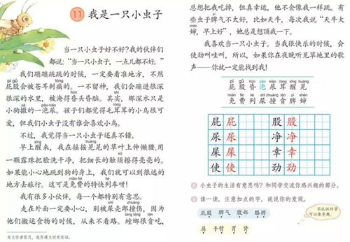 小布昆虫怎么组词